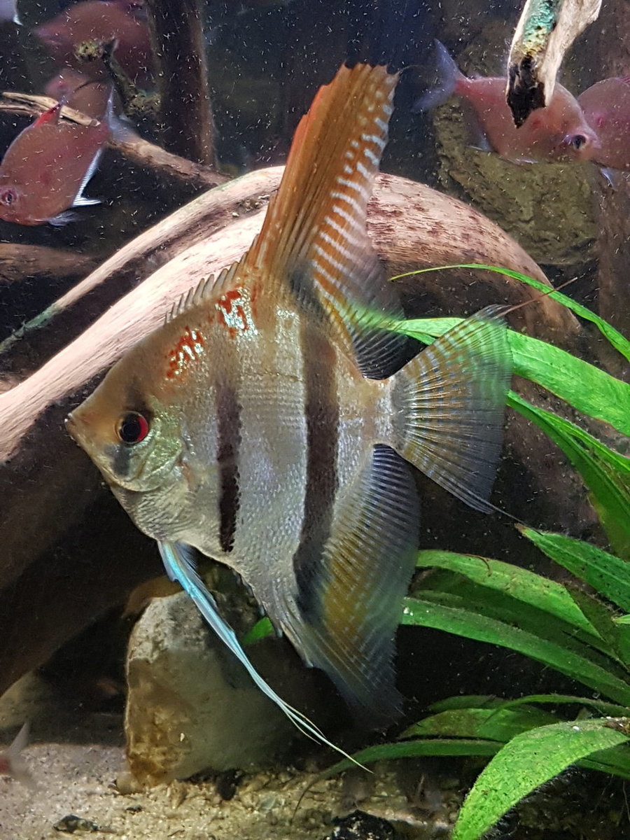 20180420_200041.jpg