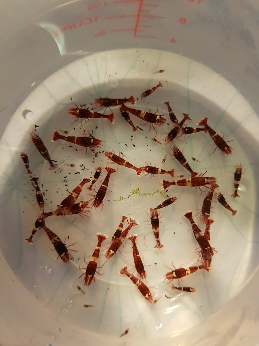 20180420_211955.jpg
