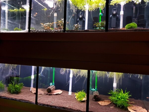 20180420_214703.jpg