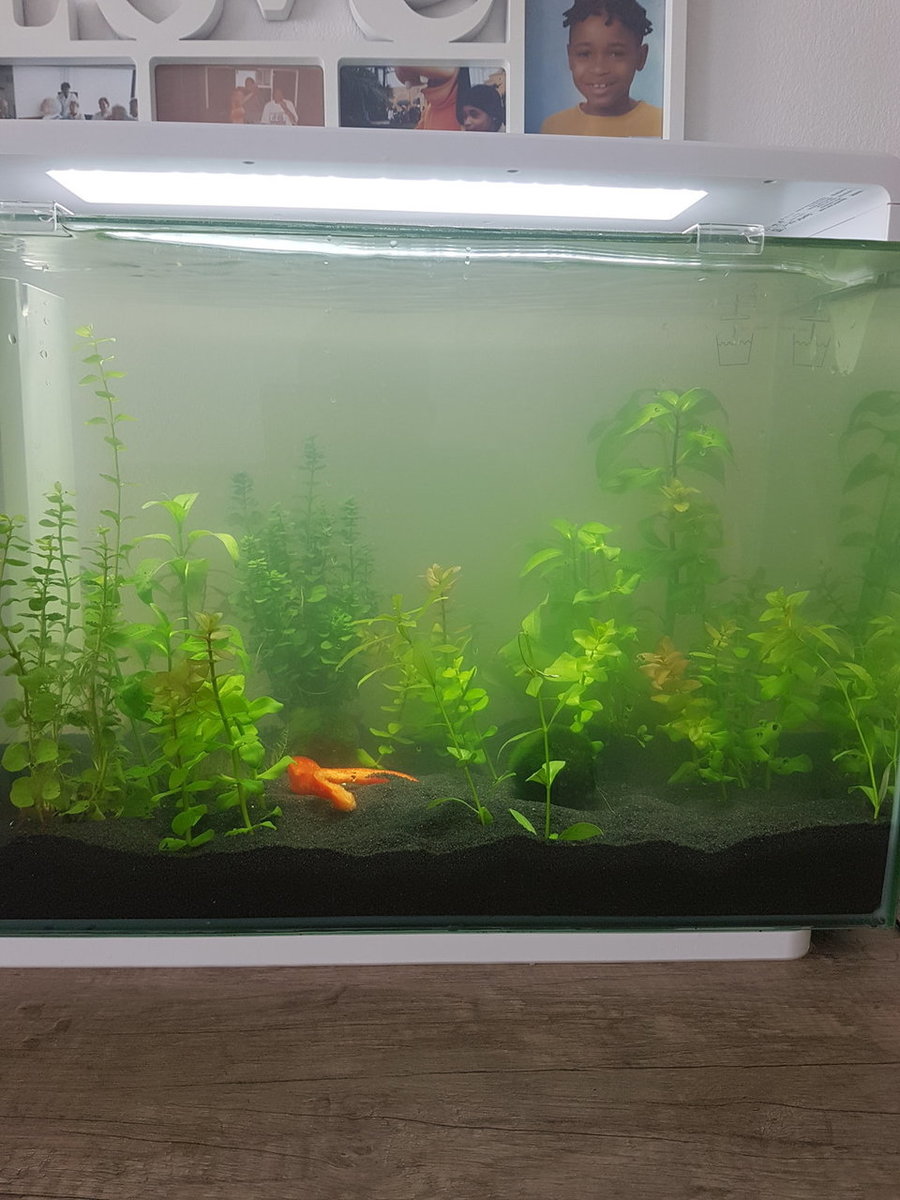 20180421_113354.jpg