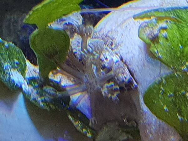 20180422_105241.jpg