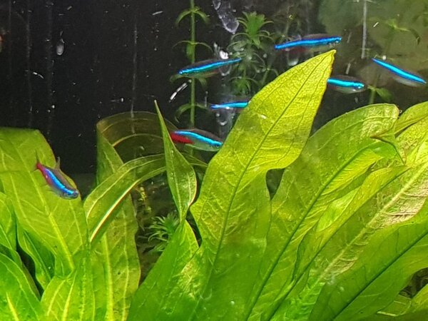 20180423_221328.jpg
