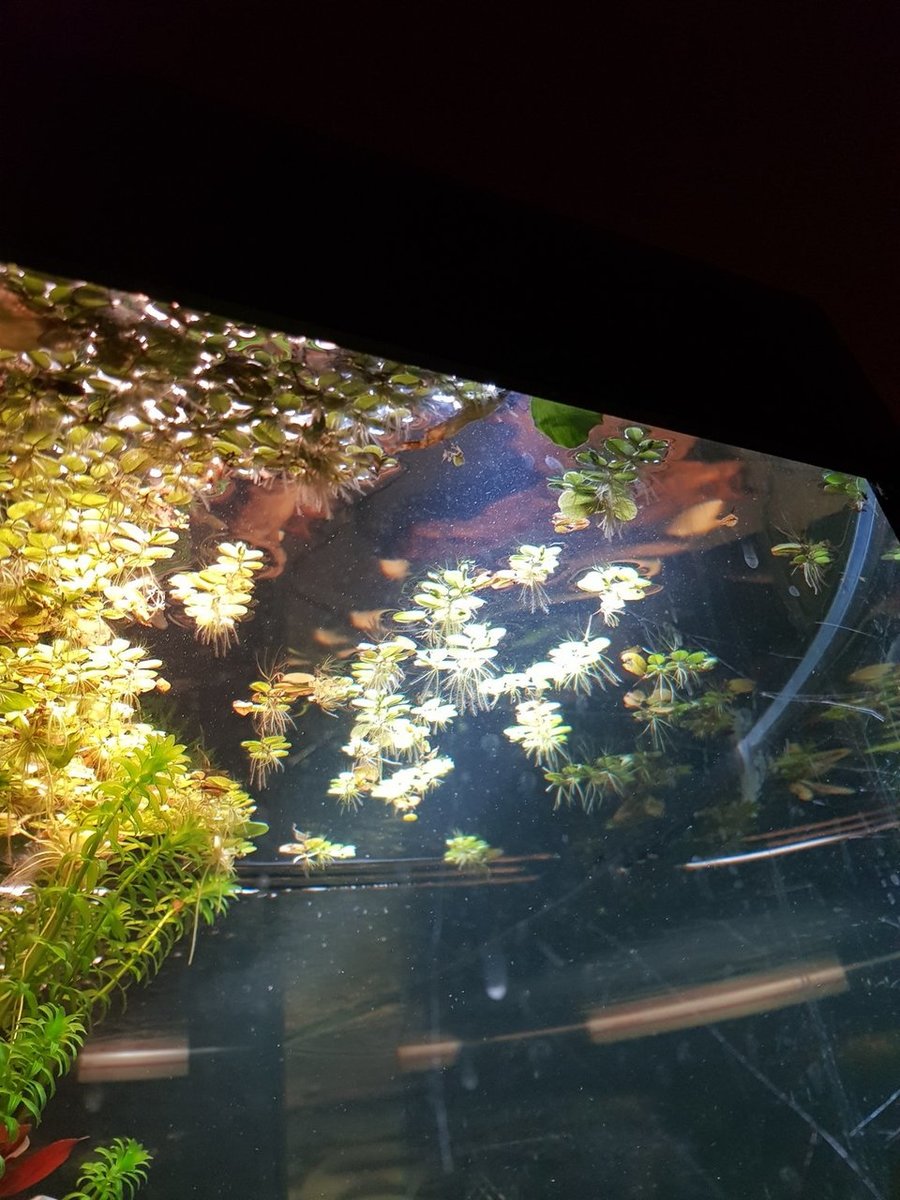 20180423_222926.jpg