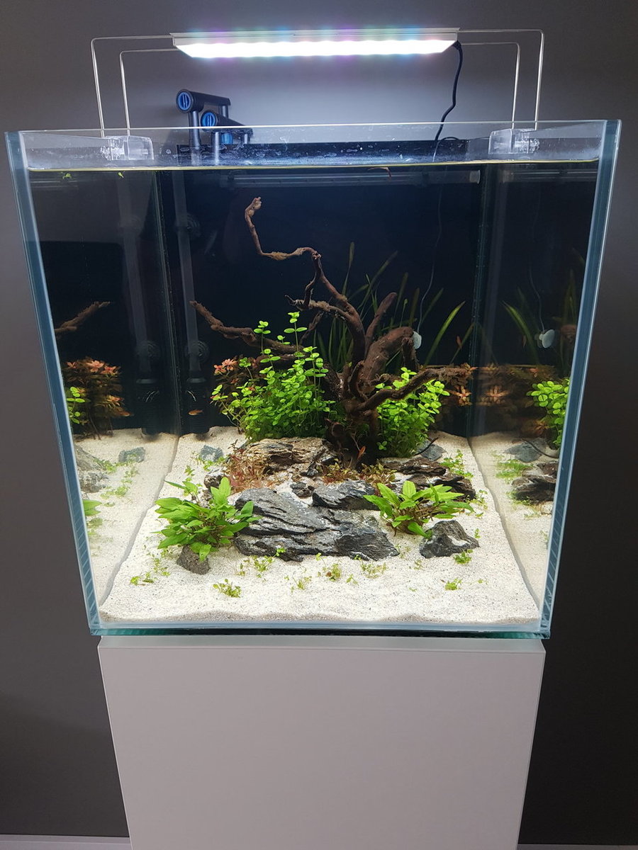 20180425_163117.jpg