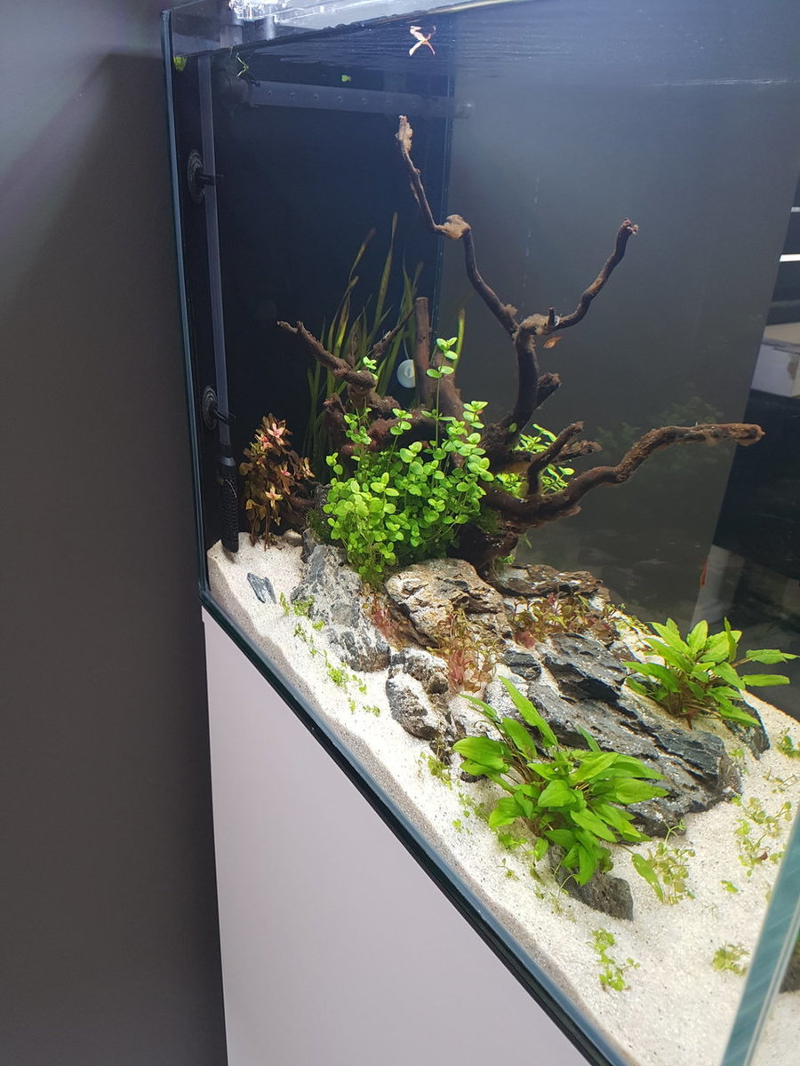 20180425_163130.jpg