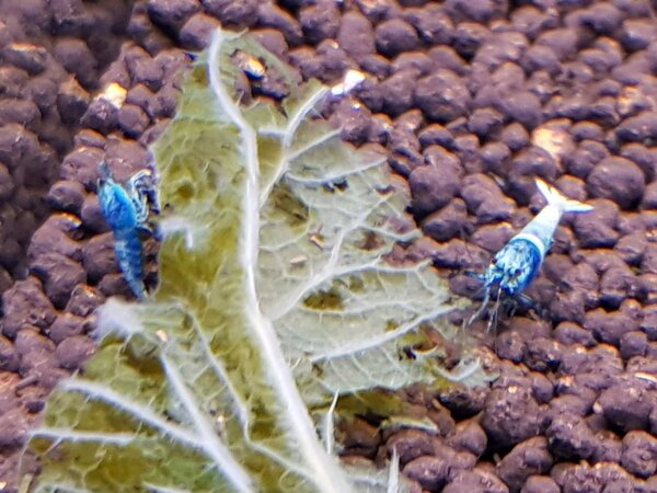 20180425_195948.jpg