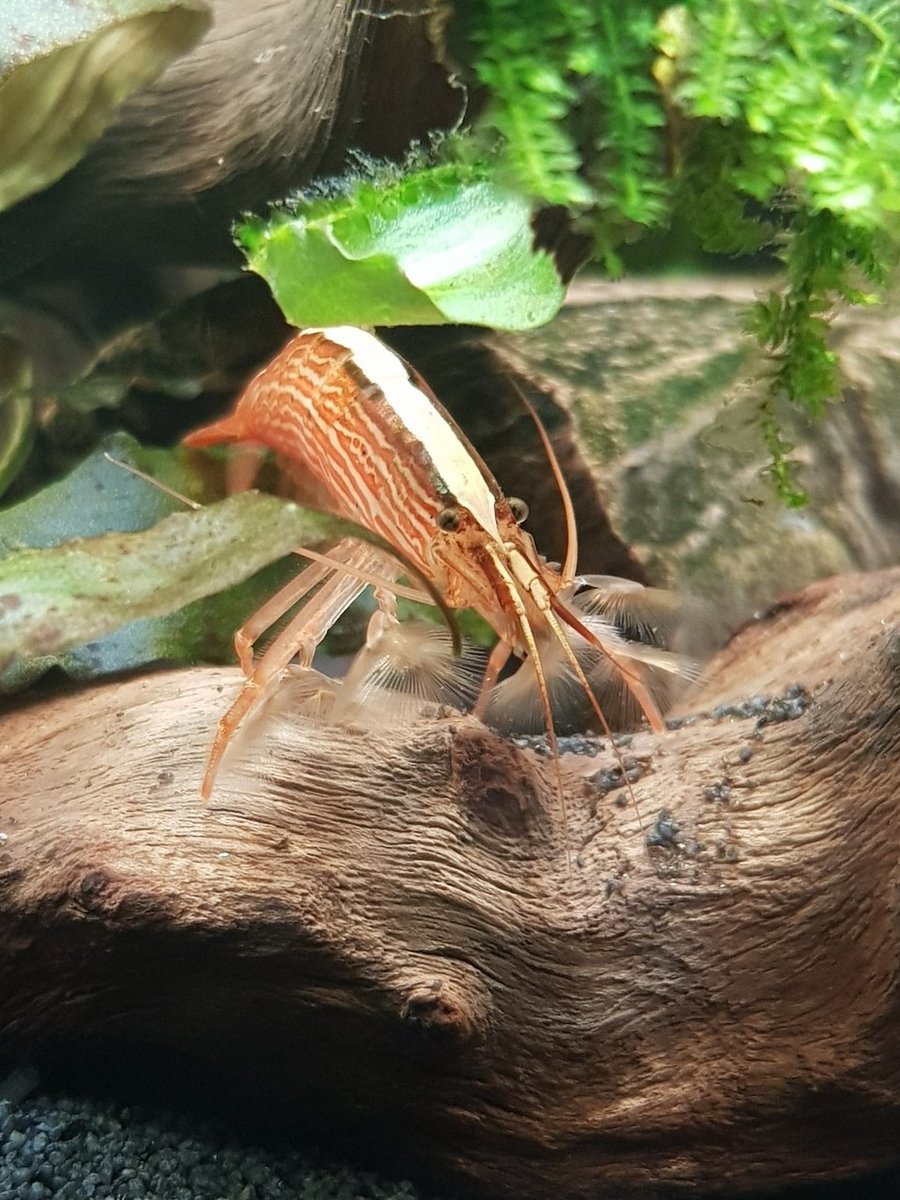 20180425_221903.jpg