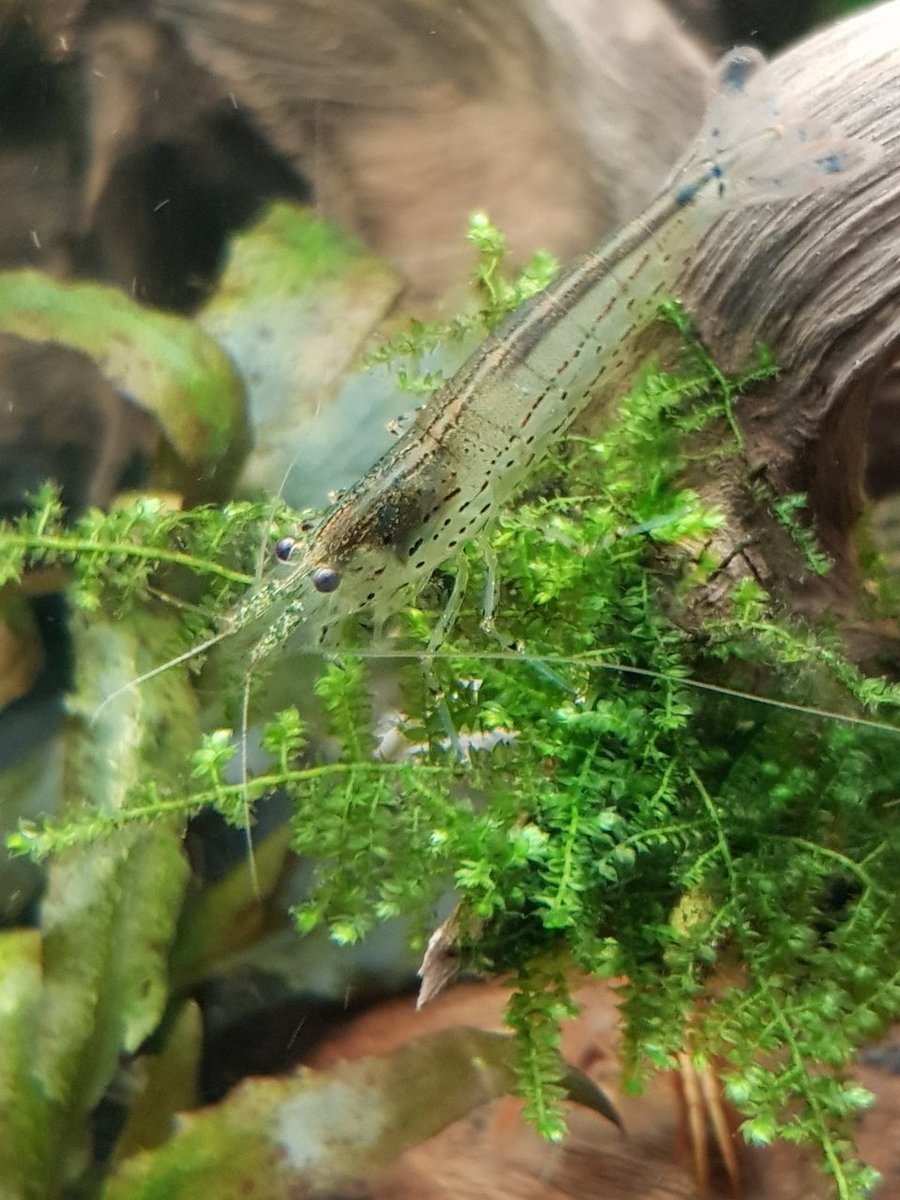 20180425_221928.jpg