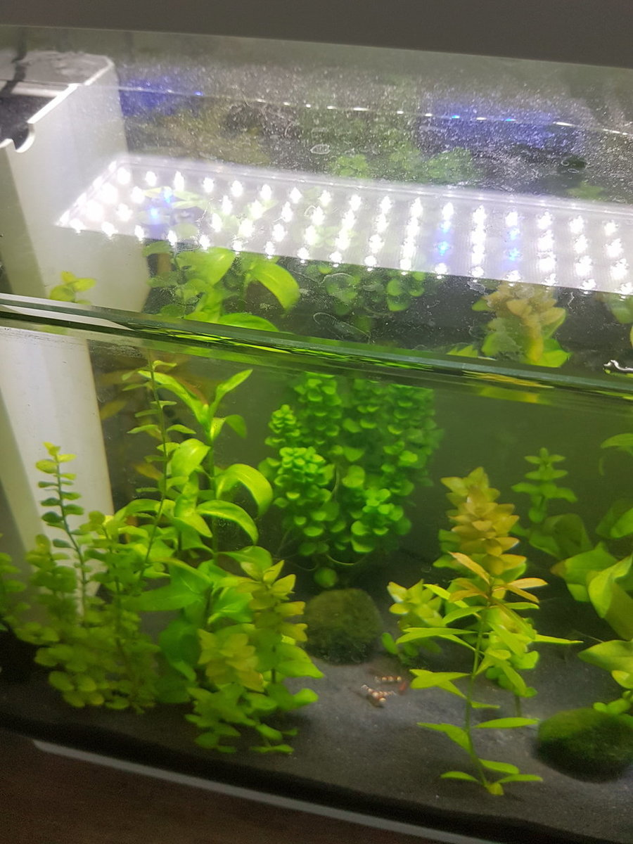 20180426_184933.jpg
