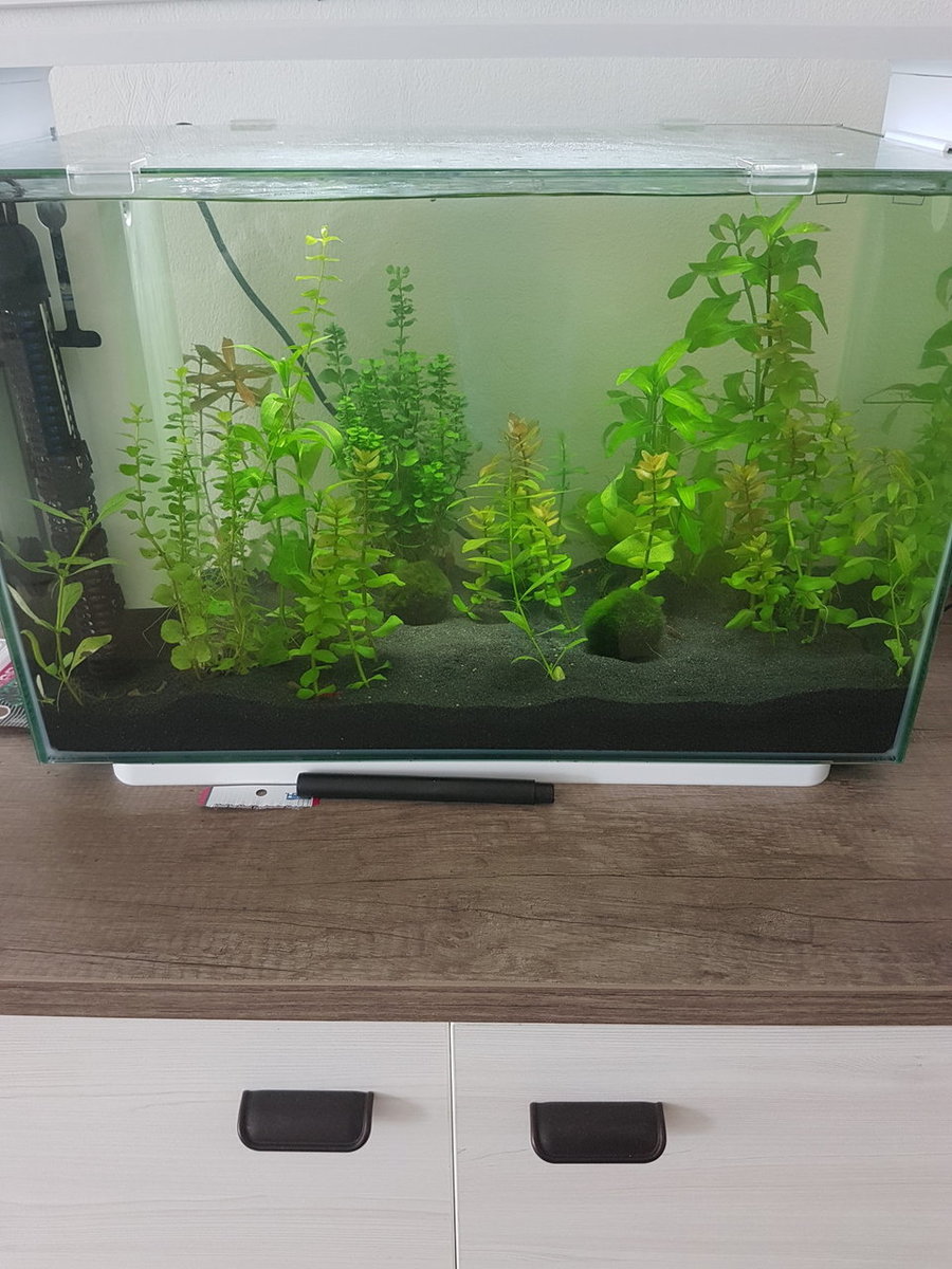 20180427_123651.jpg