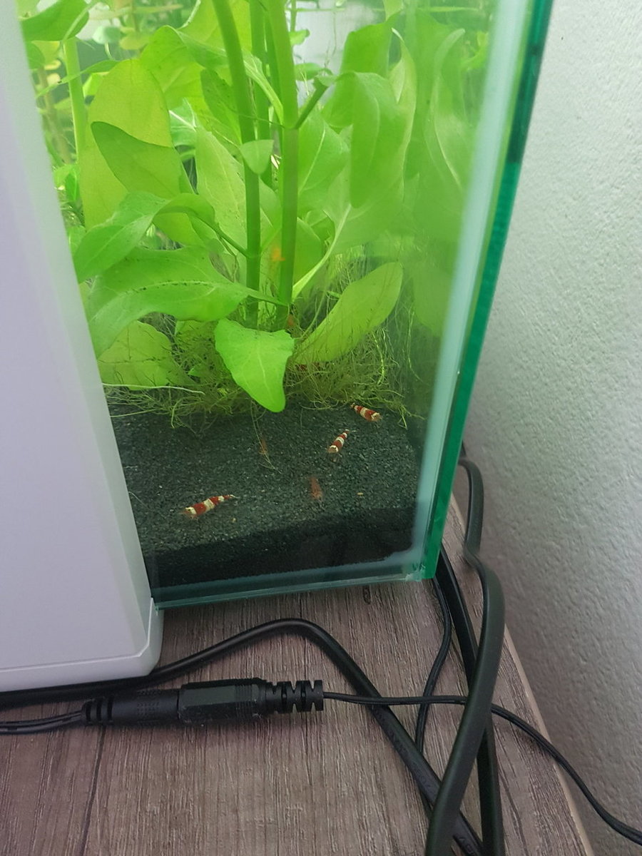 20180427_123714.jpg