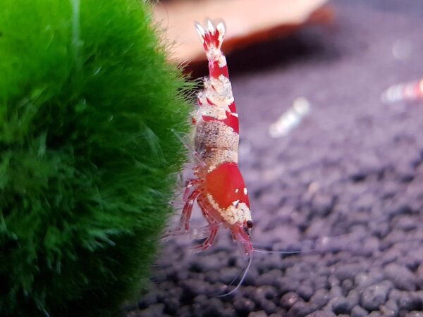 20180427_205610.jpg