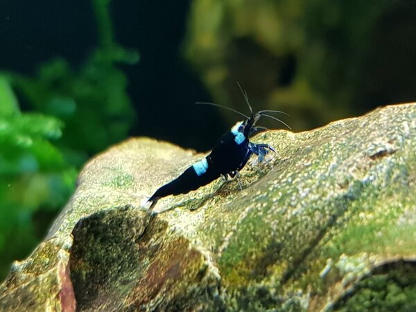 20180427_205909.jpg