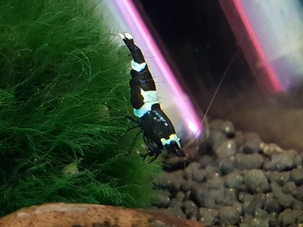 20180427_205949.jpg