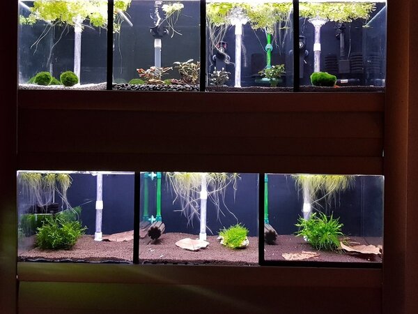 20180427_213507.jpg