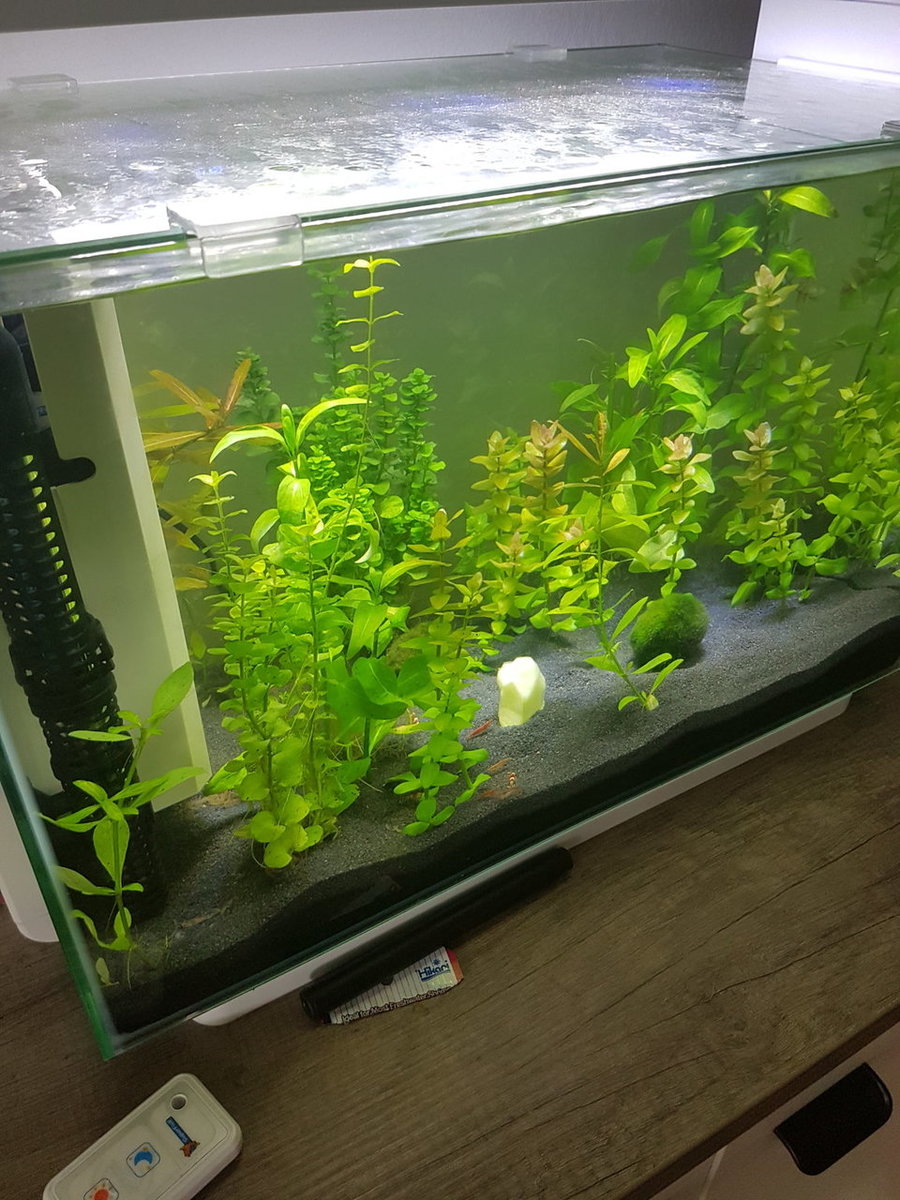 20180428_152900.jpg