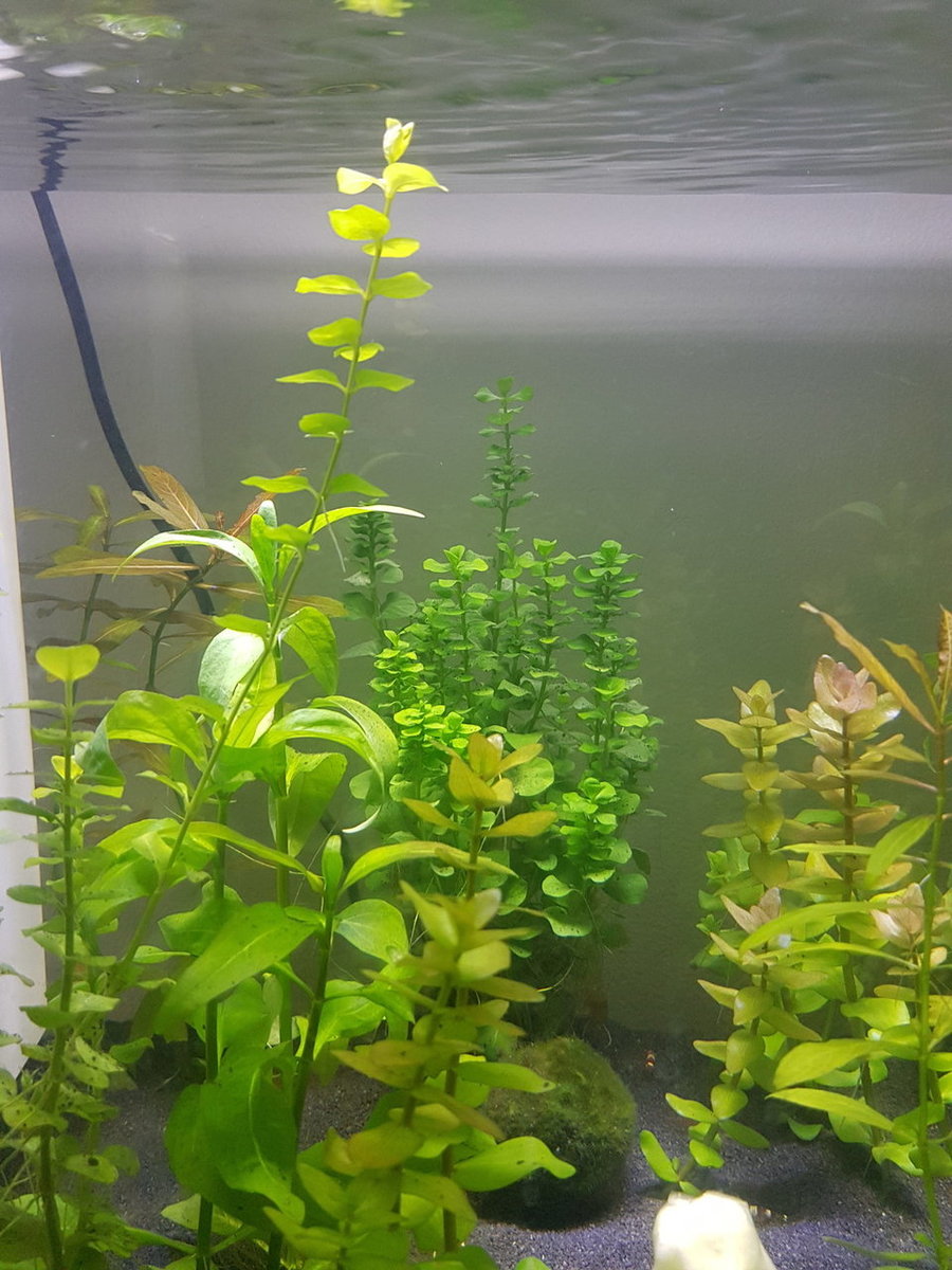 20180428_153032.jpg