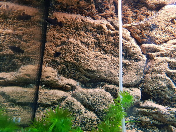 20180428_172224.jpg