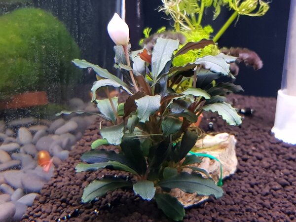 20180429_155718.jpg