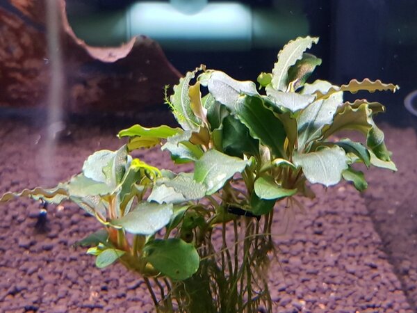 20180429_155724.jpg