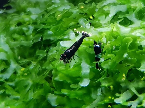 20180429_155936.jpg