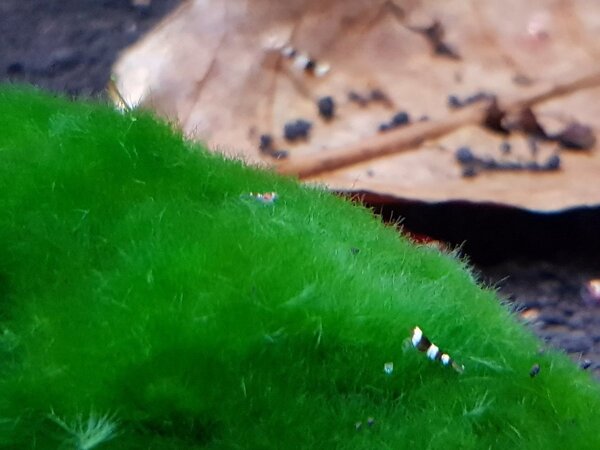 20180429_160357.jpg
