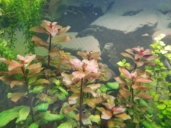 20180430_123135.jpg
