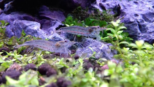 20180501_153811.jpg