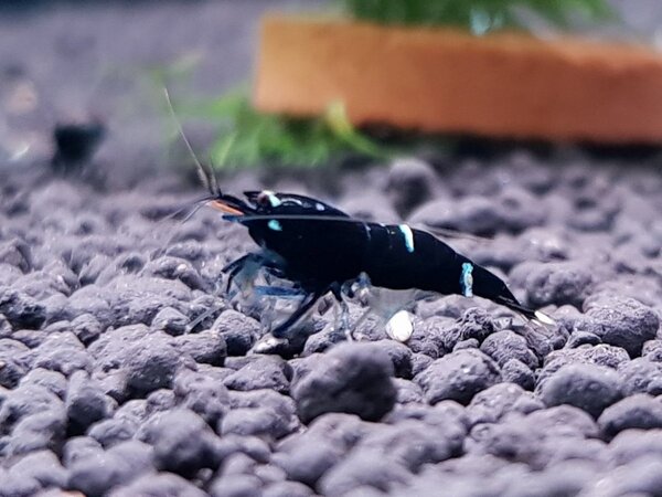 20180501_193449.jpg