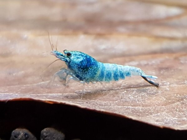 20180501_193636.jpg