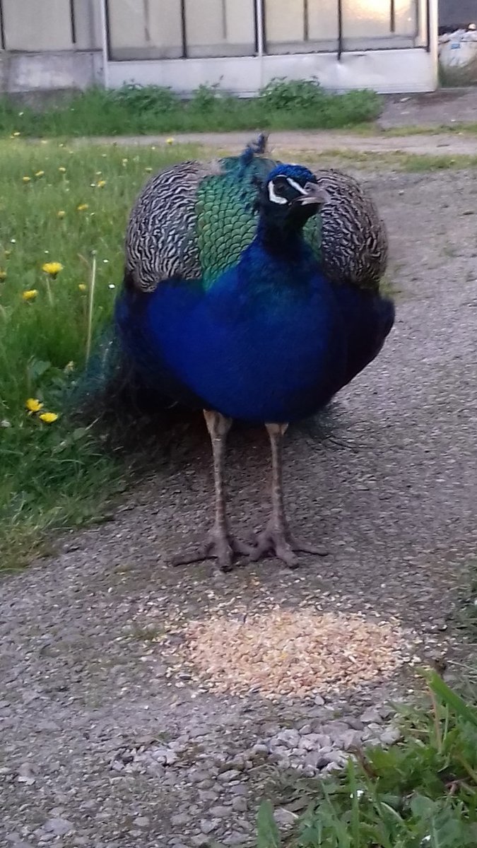 20180501_201258.jpg