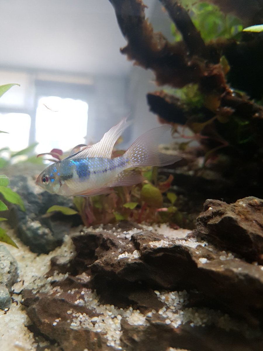 20180502_123659.jpg