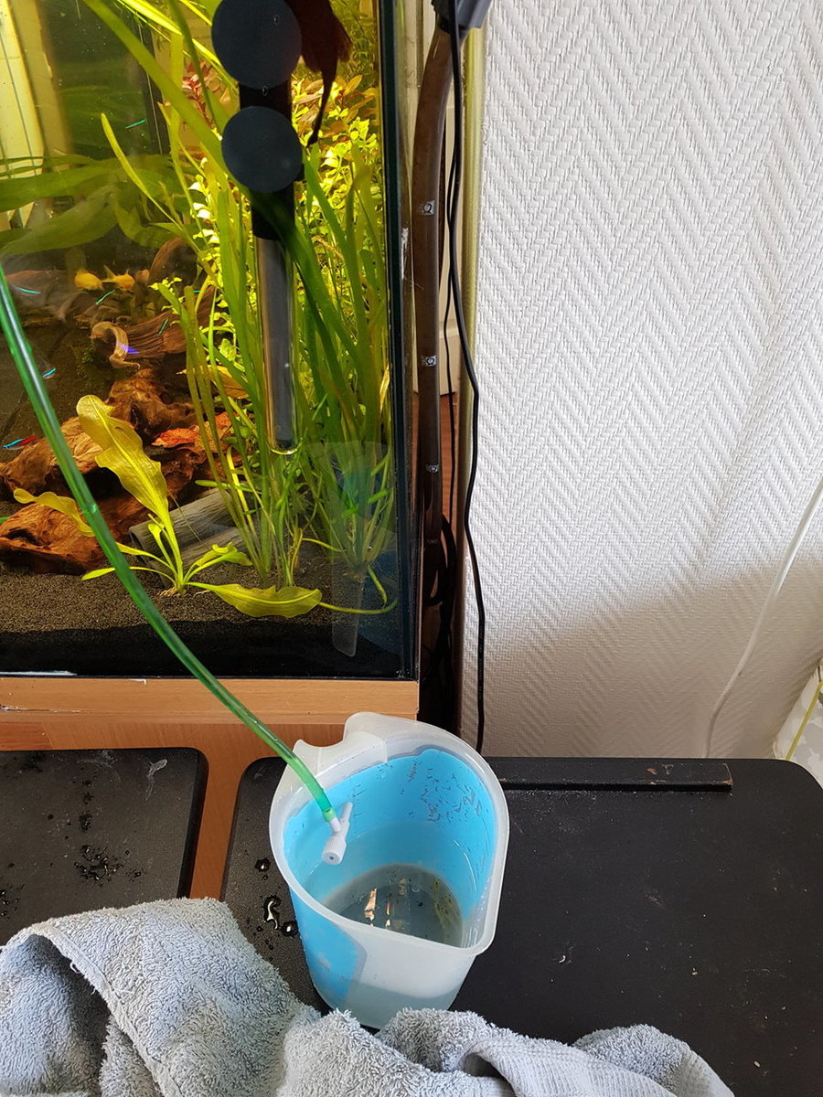 20180502_132635.jpg