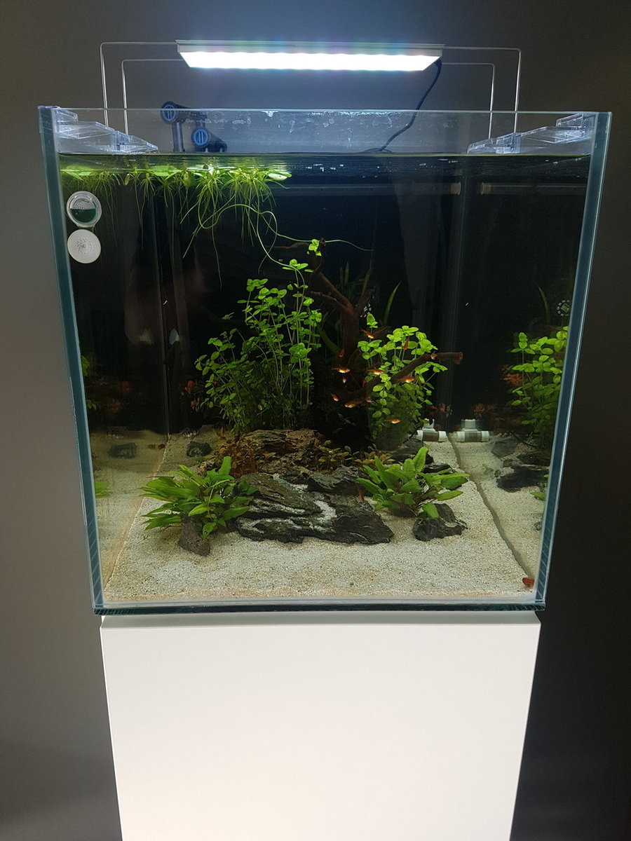 20180504_183020.jpg