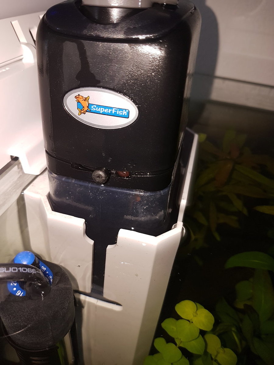 20180506_114524.jpg