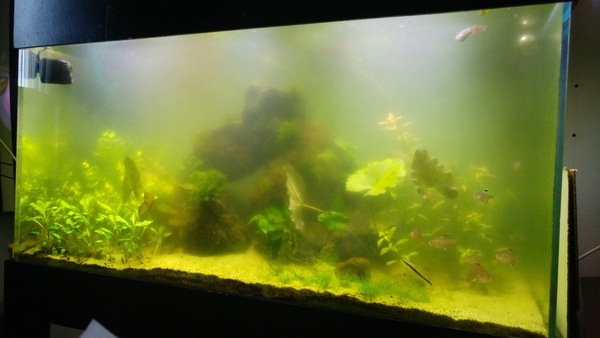 20180506_132444.jpg