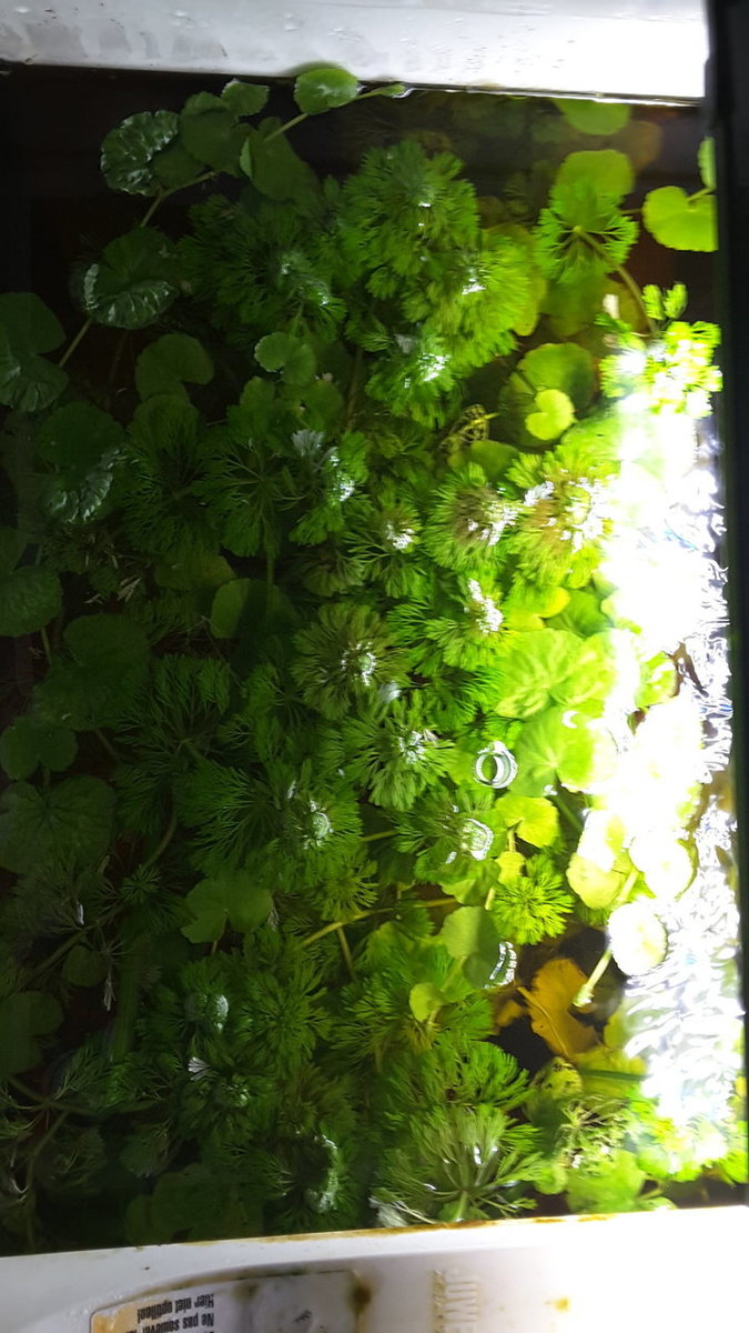 20180506_162939.jpg