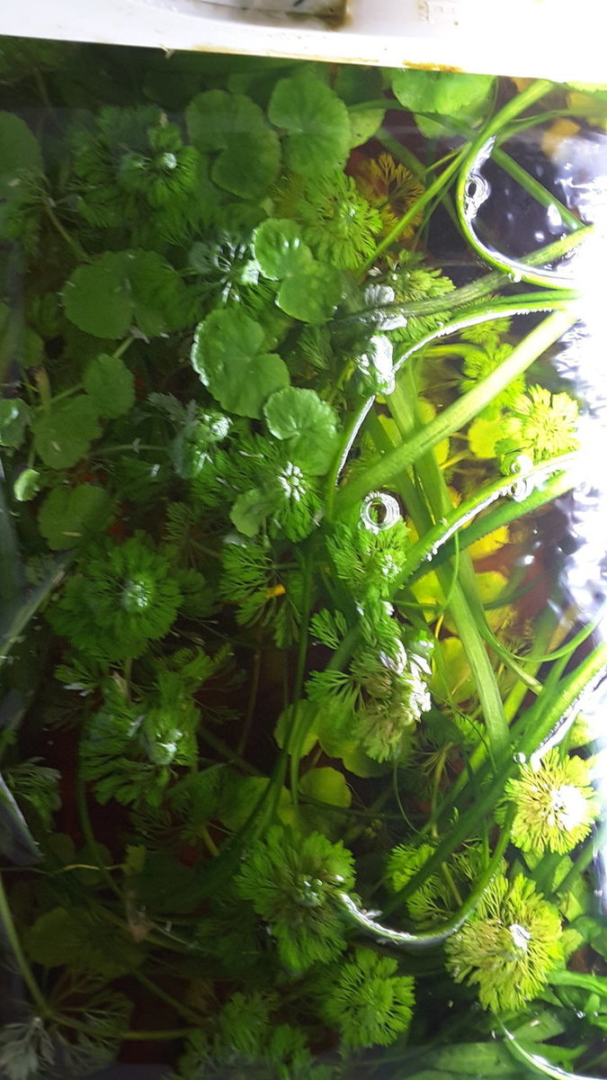 20180506_162944.jpg