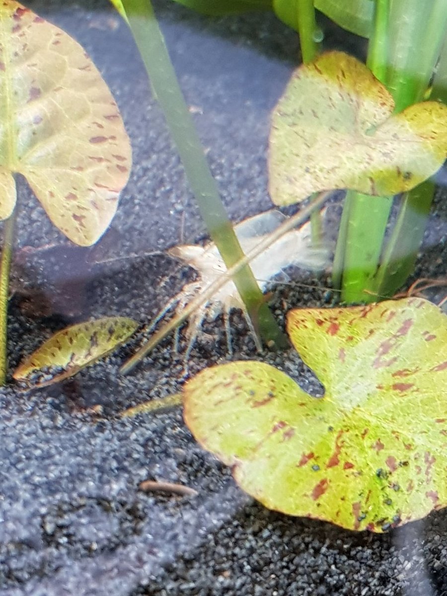 20180507_160133.jpg