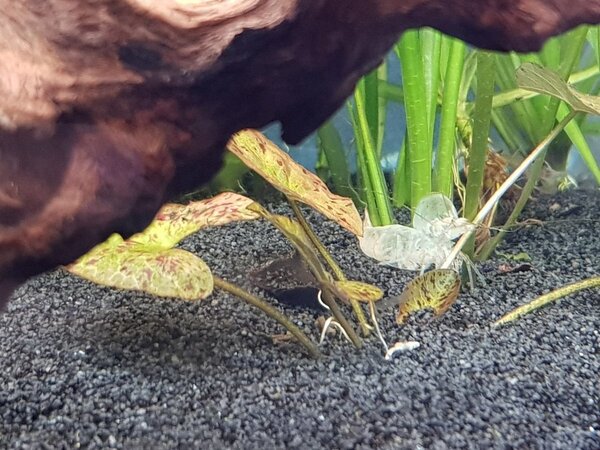 20180507_160213.jpg