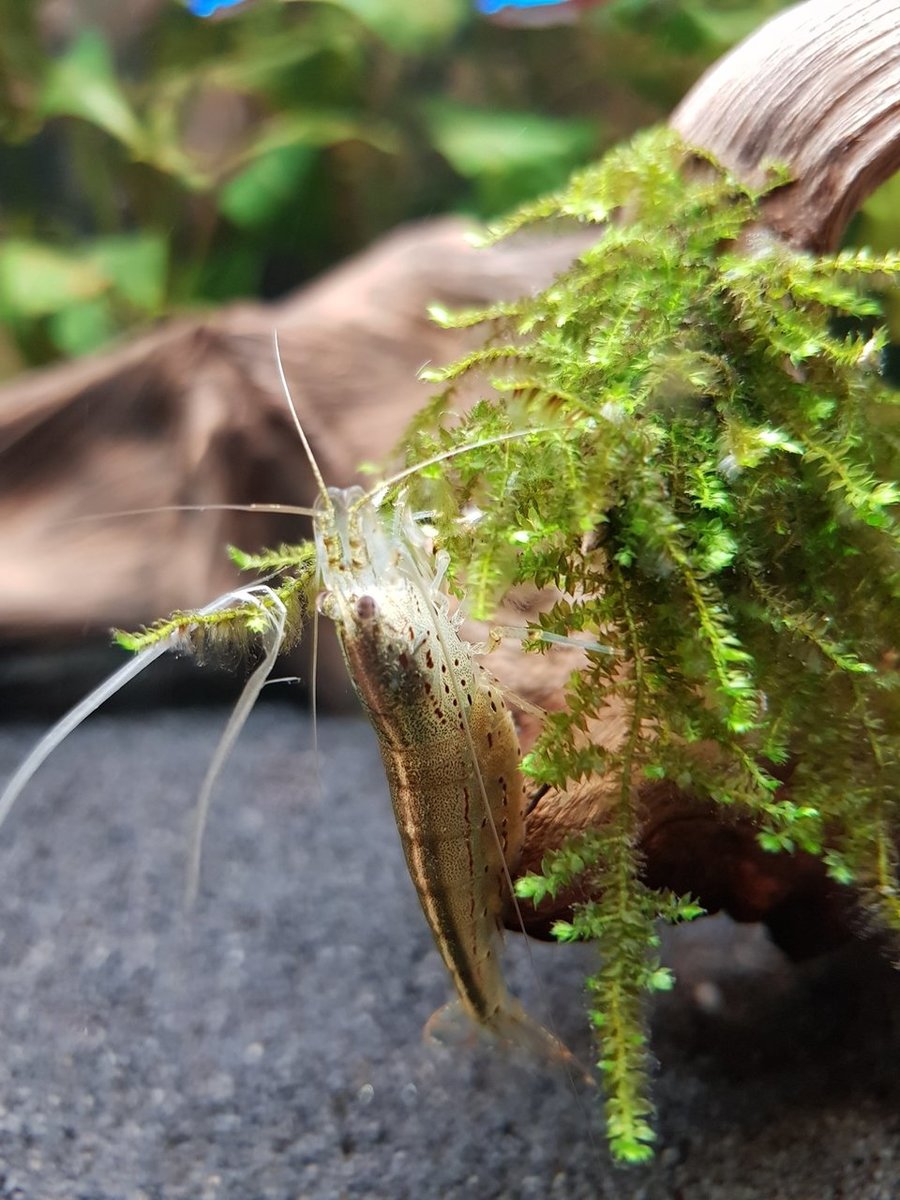 20180508_180200.jpg