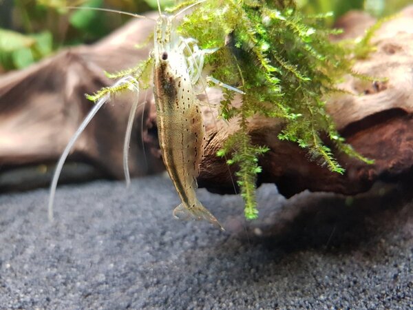 20180508_180231.jpg