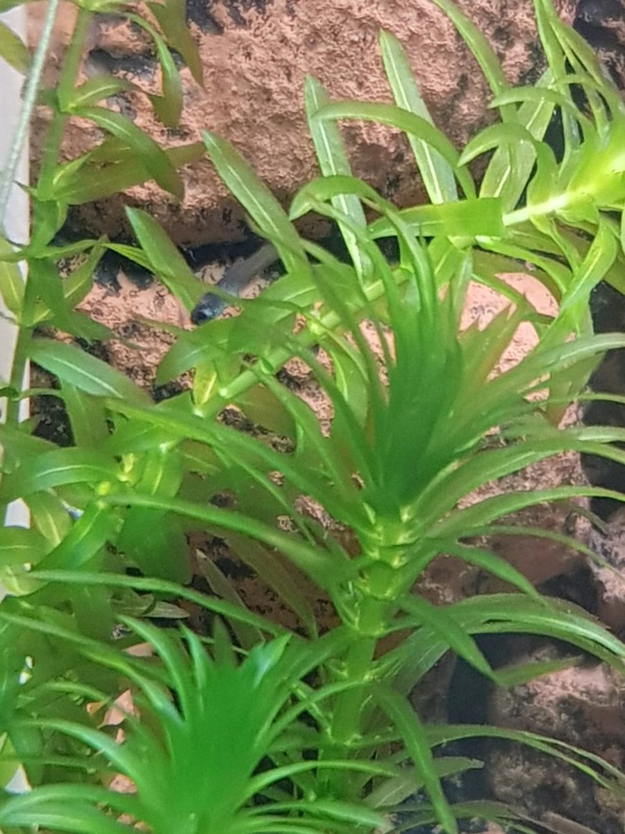 20180509_200734.jpg