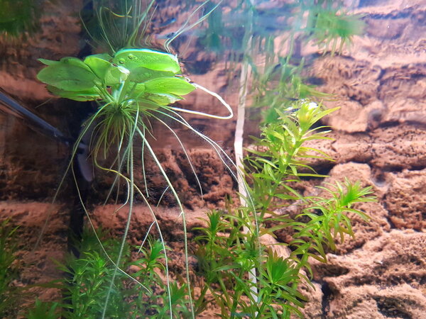 20180509_202455.jpg