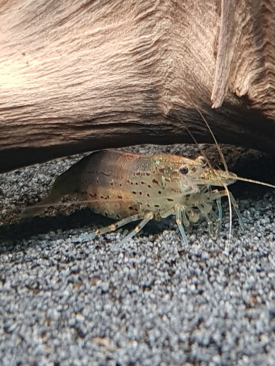 20180510_215310.jpg