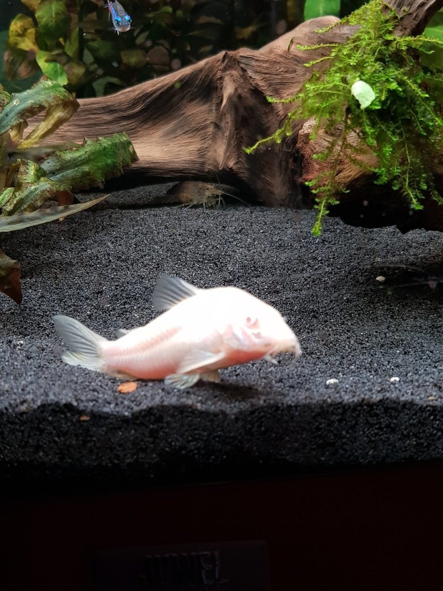 20180510_215317.jpg