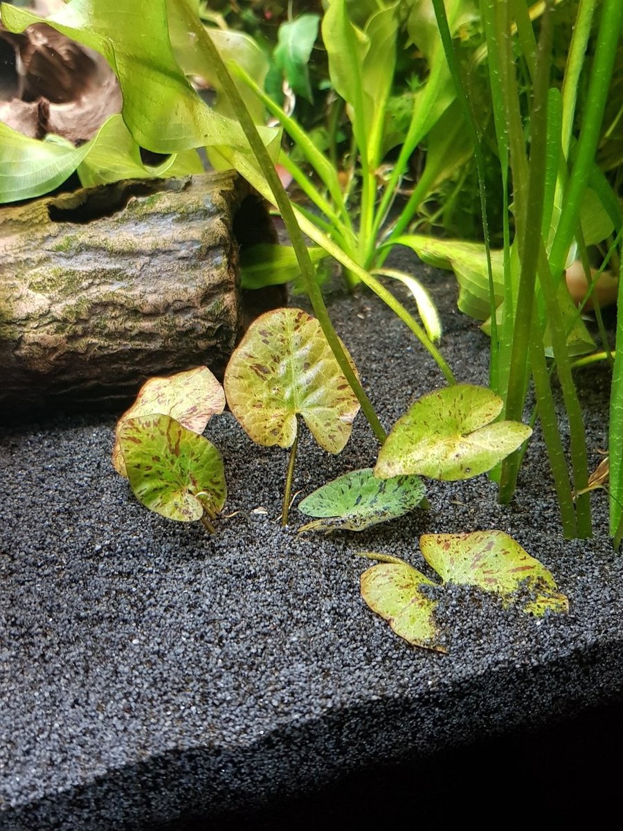 20180510_215356.jpg