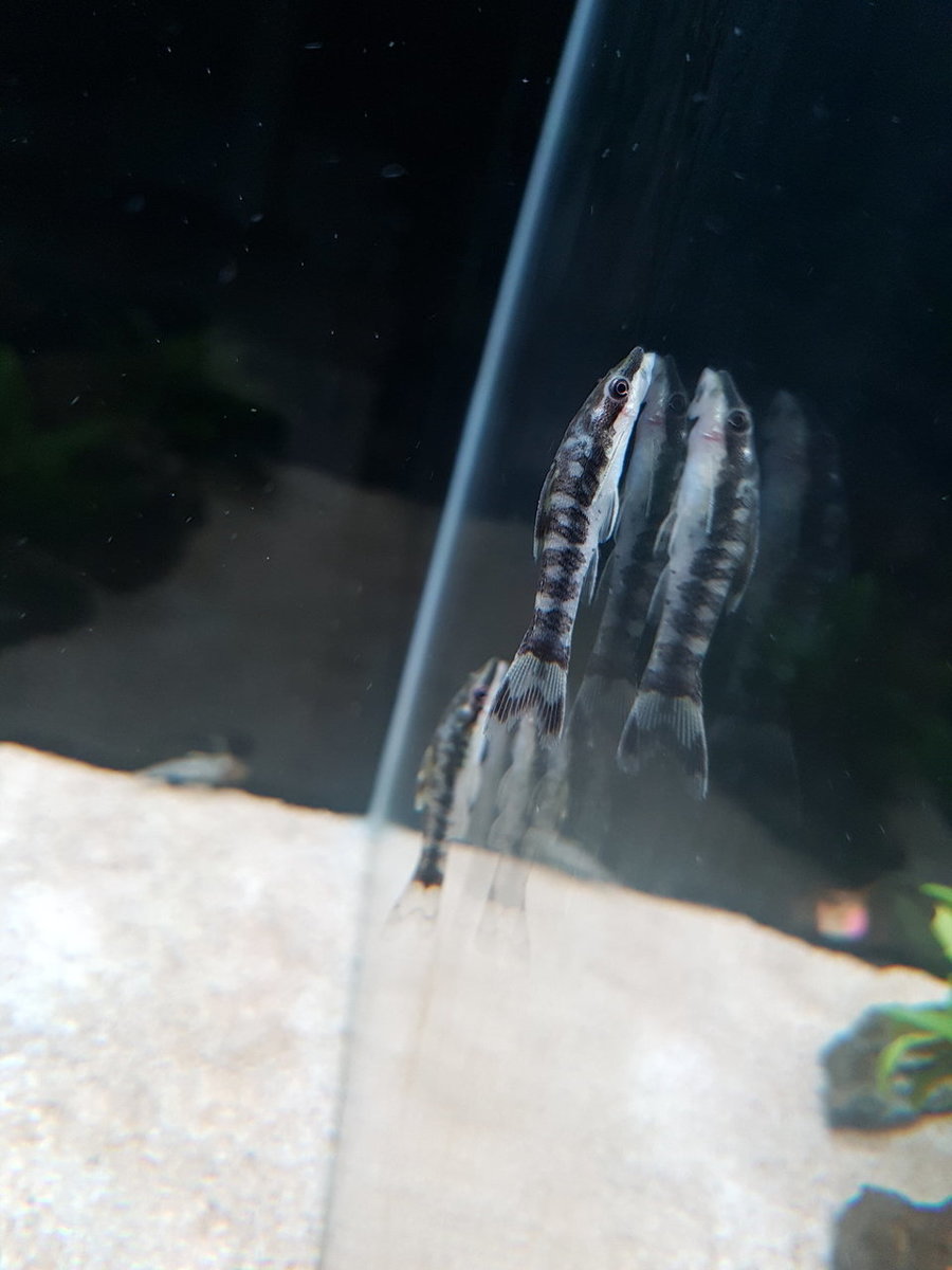 20180511_225325.jpg