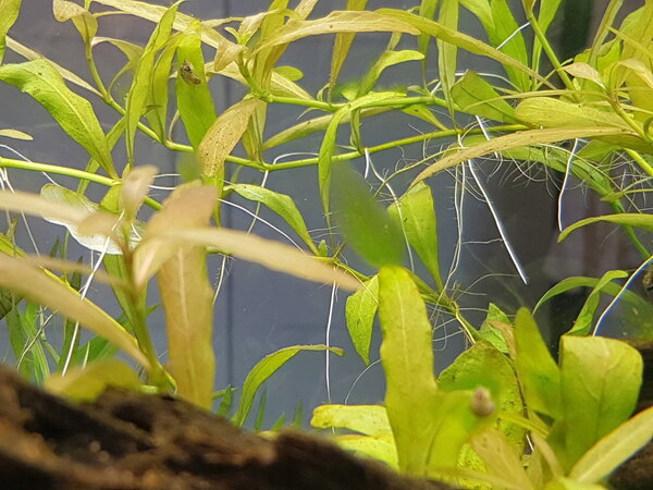 20180512_152345.jpg