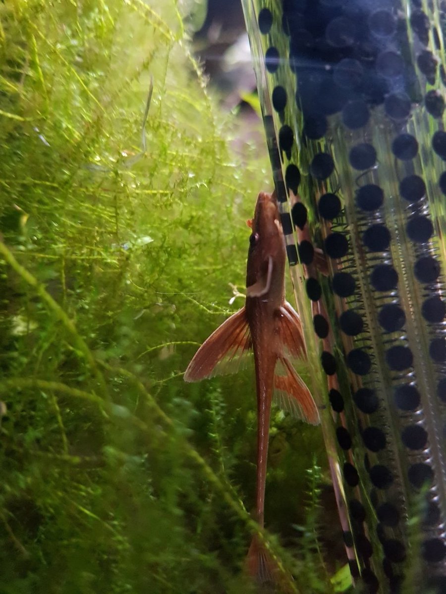 20180512_214631.jpg